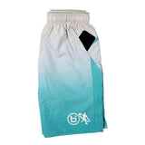 Global Hooper Performance Short in Diamond Teal