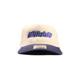 Pick Up Snapback Hat in Tan