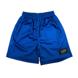 Layla Mesh Shorts in Blue